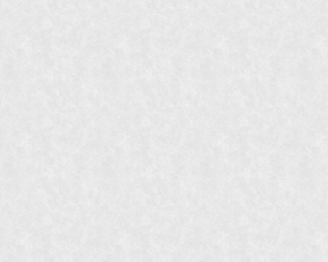 th03_bg_img